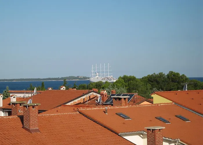 招待所 & Nikolic 3*