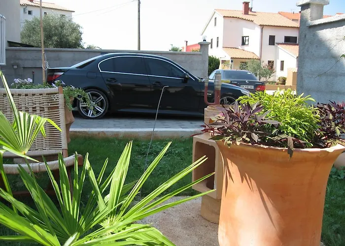 招待所 & Nikolic 3*