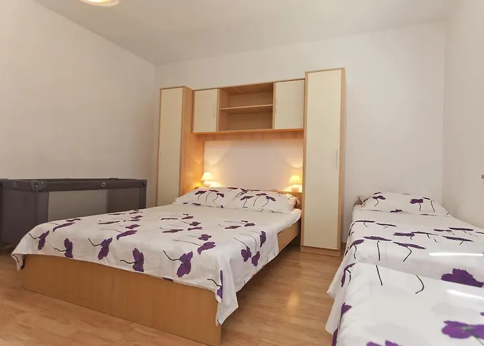 招待所 & Nikolic 法扎纳