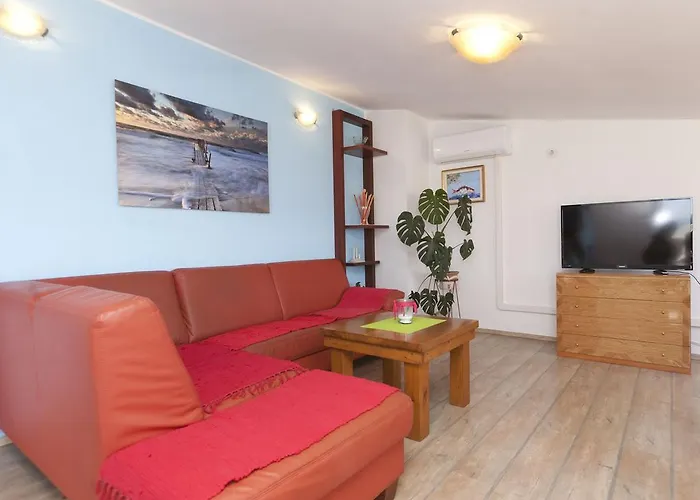 招待所 & Nikolic 3*