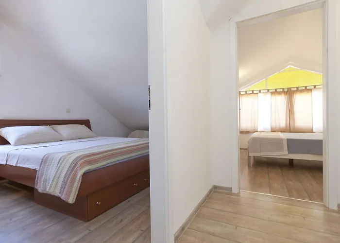 & Nikolic 招待所 3*